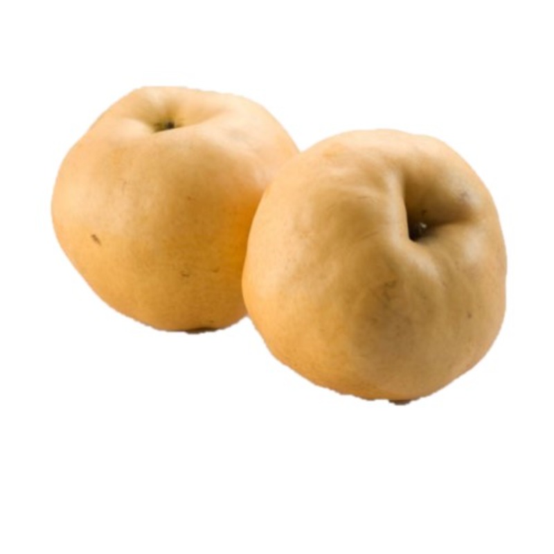 Premium Imported Korean Singo Pear - Great Grocer-Great Grocer